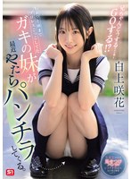 ちょっと前までプロレスごっこしてたガキの妹が最近やたらパンチラしてくる。兄ちゃんどうする…? GOする!? 白上咲花