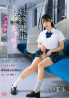 最終電車でいつも乗り合わせる女子校生の無防備なフリしたパンチラ見せつけ誘惑にまんまと引っかかった僕は2人きりの車内で淫音ぬちゅんぱちゅん鳴らし終着駅までハメ狂った 花守夏歩