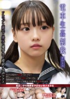 電車生姦制裁 #013