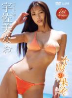 太陽の果実/宇佐美なお